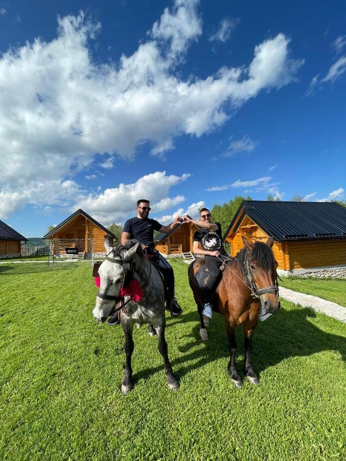 Lodge Vidikovac Uvac Druzinice